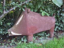 Wildschwein