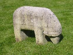 großes Schaf