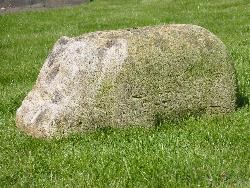 Nilpferd